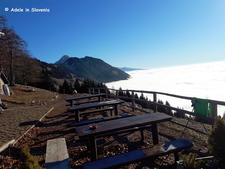 View from Kriška gora