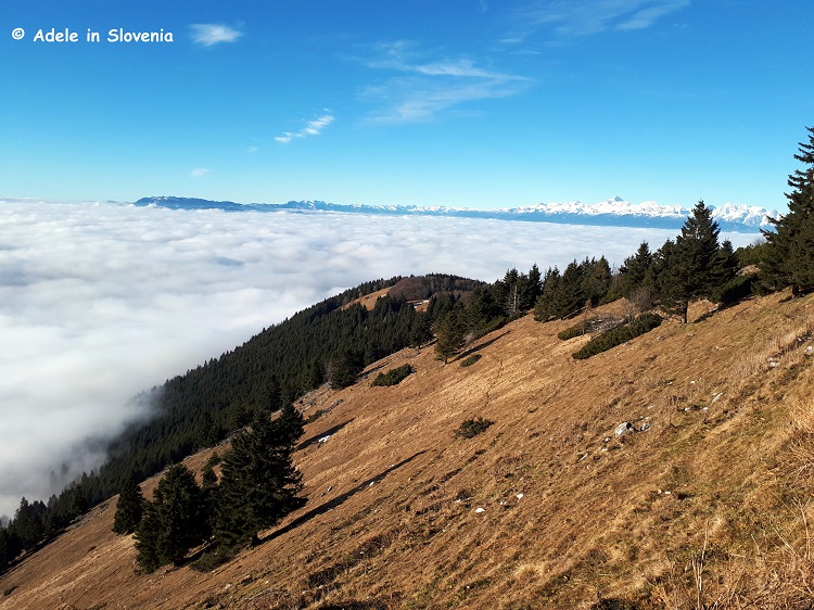 View to Julian Alps