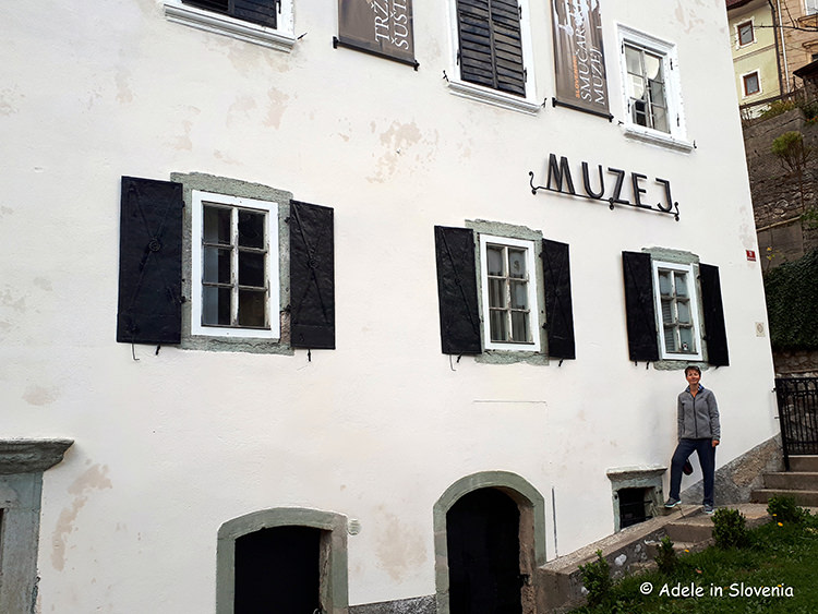 Tržič museum