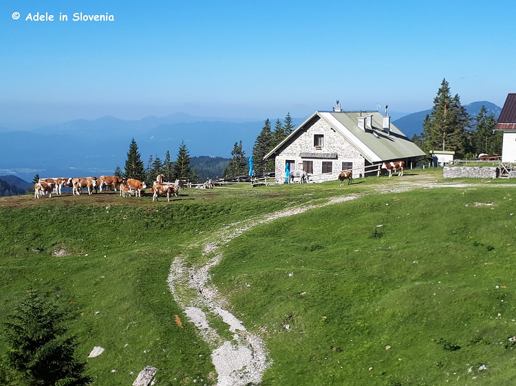 Šija scouts hut