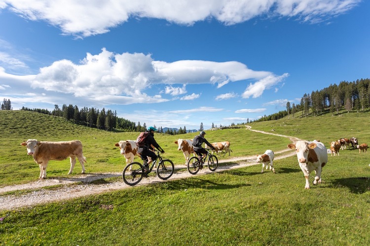 Le alpi sotto di Košuta