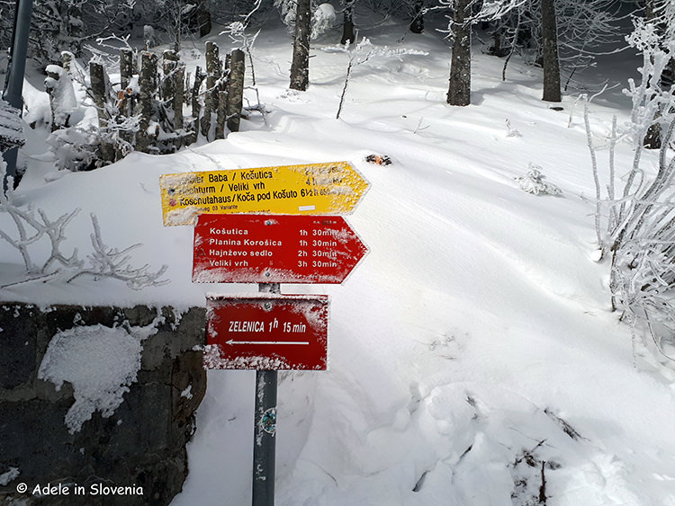 Path to Zelenica